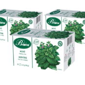 Biofix Pepper mint tea